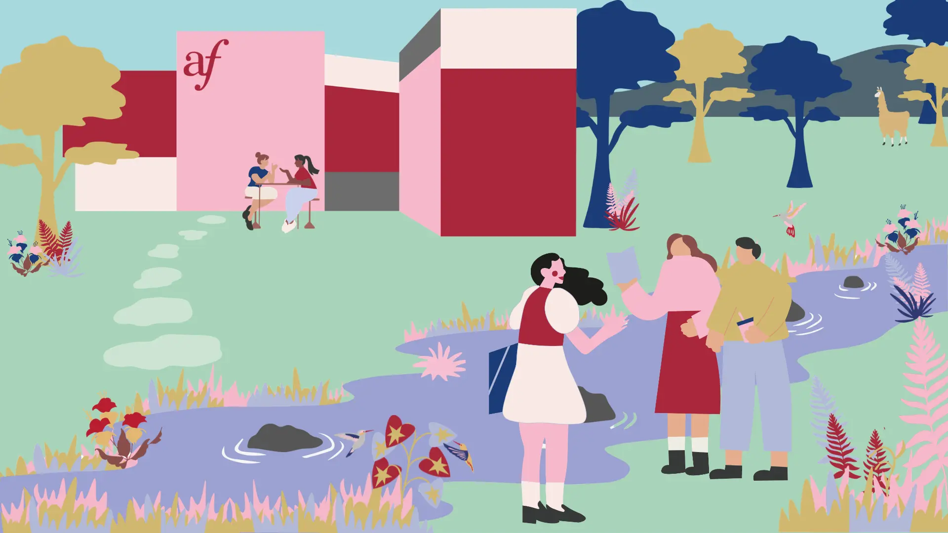 Animation graphique Alliance Francaise Cuenca