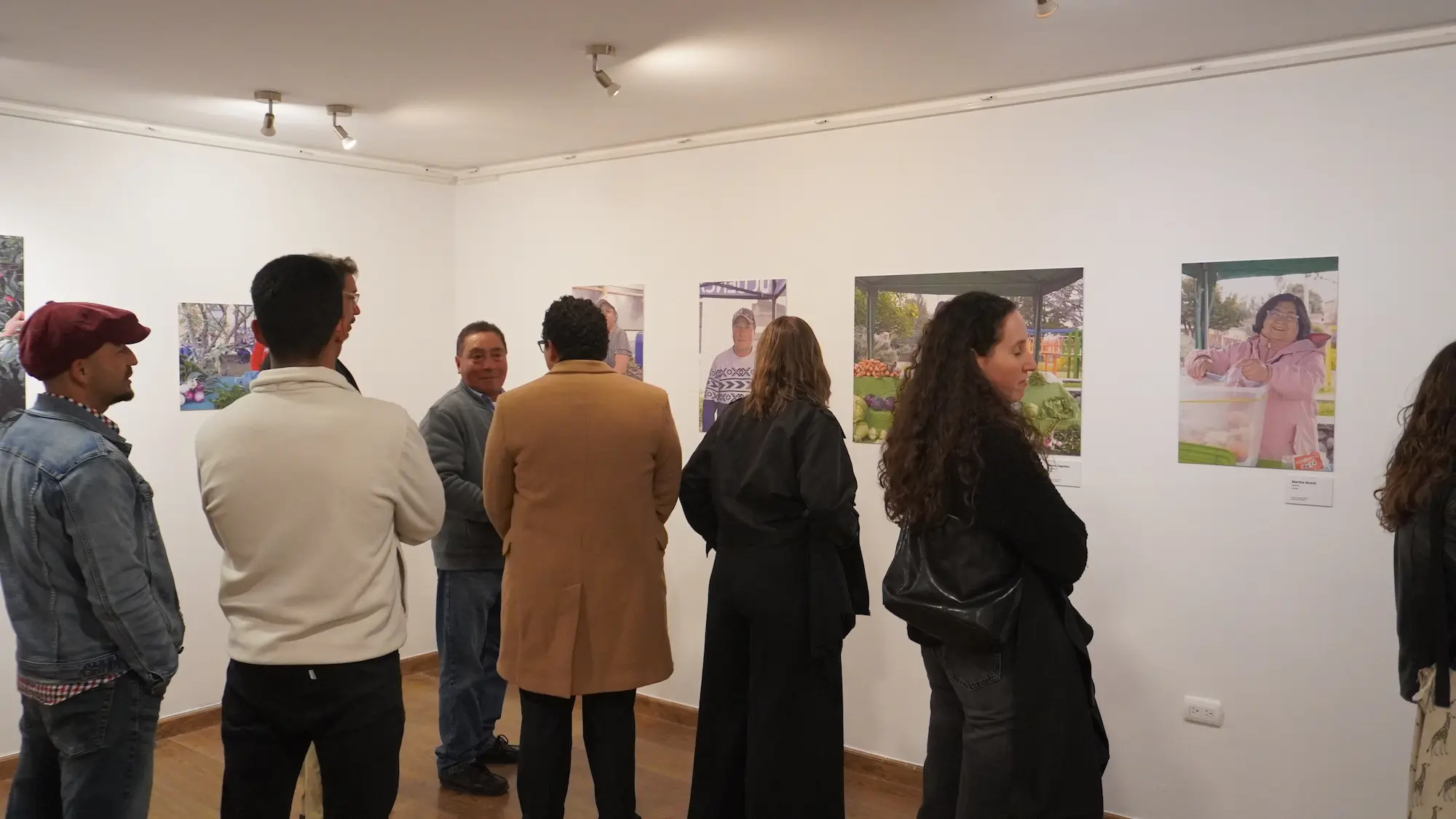Voces verdes exposition regards